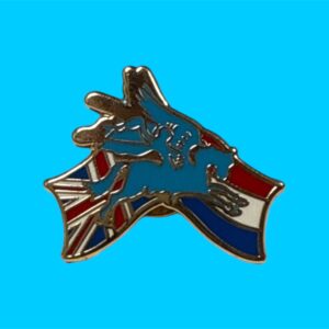 141 Pin Pegasus met vlag