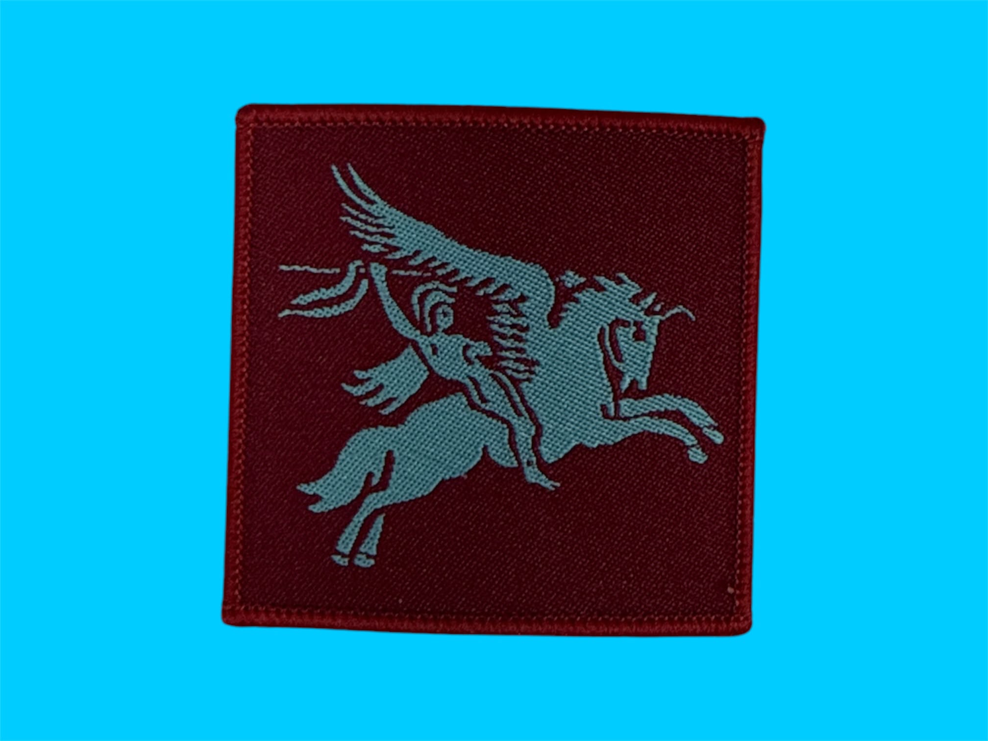 143 Mouwembleem Pegasus